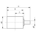 Tragrolle CASE CX55B